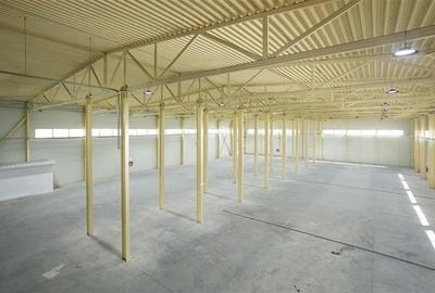 Inchiriere depozit/hala/spatiu industrial Otopeni - Centura - 7