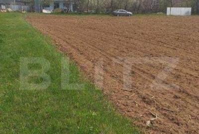 Teren intravilan 5400 mp, deschidere 22 ml, in Baicoi - 2