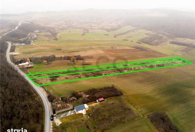 Teren de 13041 mp, în Sârbi - 6