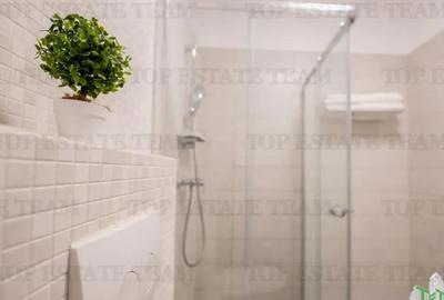 Garsonieră decomandată în Nord - 8