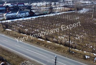 Teren de vanzare in comuna Mu?ate?ti, jude? Arge?. - 9