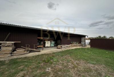 Spațiu comercial, Ghiroda principală, vad excelent - 7