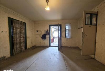 Casă cu 3 camere cu Teren 7900 Mp în Ciumeghiu - 9