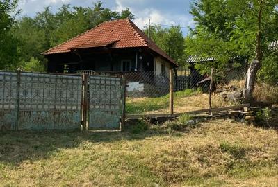 Casă cu 2 camere în Blahnița de Sus - 3