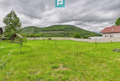 Casă individuală cu 3 camere cu Teren 2914 Mp în Gurahonț - 23