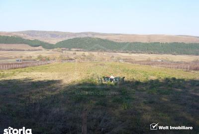 Teren de 10800 mp, în Căpușu Mare - 4