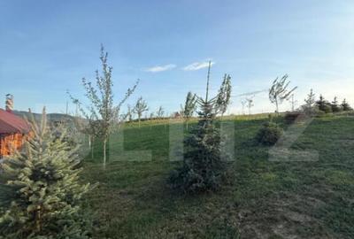 Cabana din lemn rotund, 2 camere, 140 mp, teren 2800 mp, Pal - 6