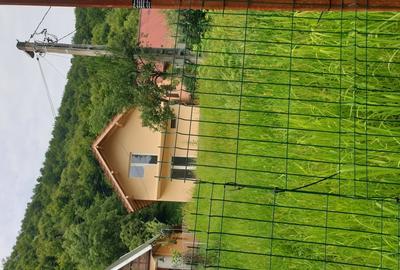 Casa de vacanta Borlova Muntele Mic Caras Severin - 2