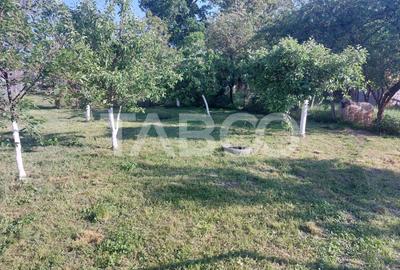 Casă individuală cu 3 camere cu Canalizare în Cisnădie - 15