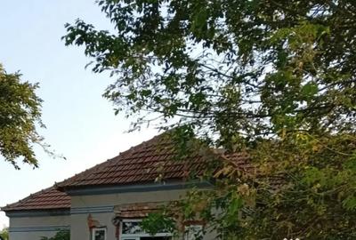 Casă cu 5 camere cu Teren 1948 Mp în Central