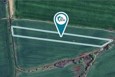 Teren agricol de 1,14 ha in Zimandu Nou - 2