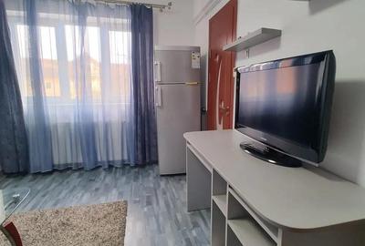 Garsoniera de inchiriat Terezian - 3