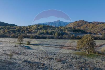 Teren Construcții intravilan de 654 mp, în Cheile Râșnoavei - 7