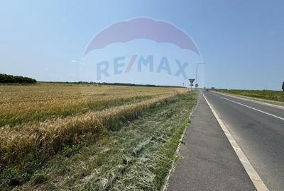 Teren ideal pentru dezvoltare mixta acces A0, Vadul Anei/ Branesti