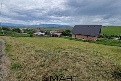 Teren intravila Sura Mare 1000mp - 4