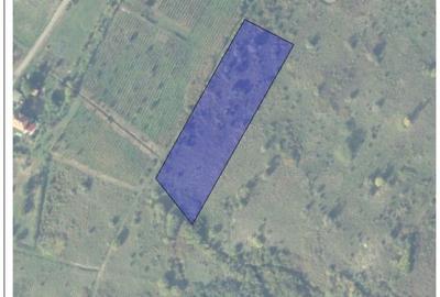 Spațiu comercial, în Central - 1