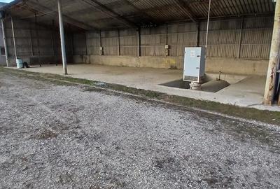 Spațiu comercial, de 20,000 mp, în Drăgăești-Ungureni - 2