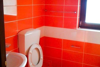 Casă cu 4 camere în Vulcan - 13