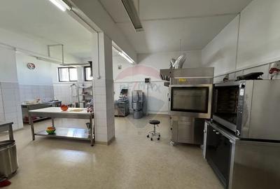 Spațiu comercial, de 1,460 mp, în Săveni - 10