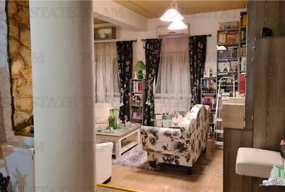 Super afacere, vila cu aspect de conac cu spatii moderne dar si clasice antichiz - 20