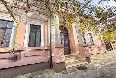 Pache Protopopescu | PROTV | Vizibilitate |  Curte 250 mp | Garaj - 2