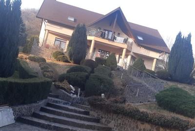 Cartierul Sasar, casa 17 ari teren Cartierul Sasar, casa 17 ari teren - 1