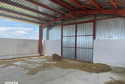 Spațiu comercial, de 3,280 mp, în Mărășești - 10