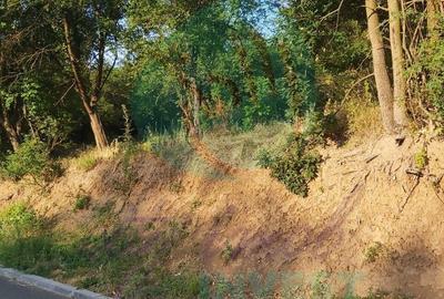 Spațiu comercial, în Central - 7