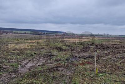 Teren de 500 mp, în Nojorid - 3