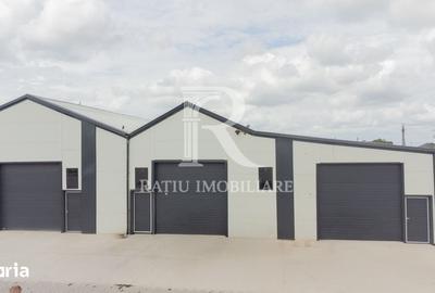 Spațiu comercial, de 540 mp, în Cantemir - 1