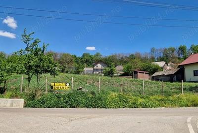 Teren intravilan Lamaseni 3.000 mp - 1