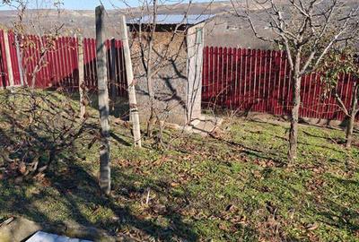 Casa...sat.Chiraftei.....com.Mastacani...jud.Galati - 4