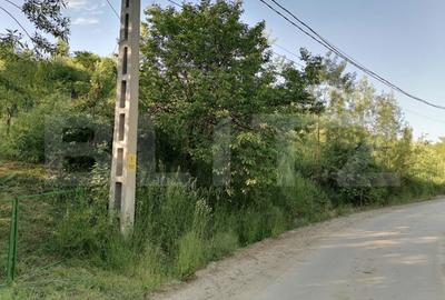 Teren de 14400 mp, în Gemenea-Brătulești - 5