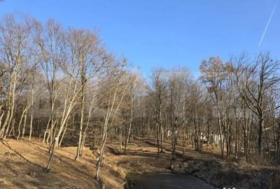 Teren de 1100 mp, în Făget