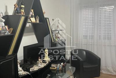 Casa individuala plus anexa, zona centrala in Faget - 12