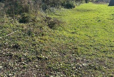 Teren de 33000 mp, în Coșbuc - 7