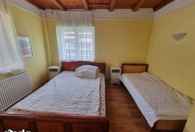 Spațiu comercial, de 454 mp, în Valea Alba - 17