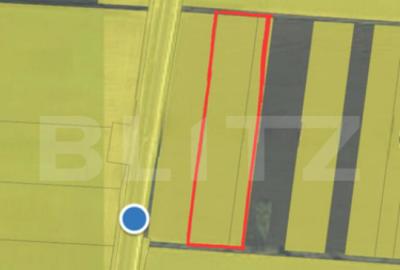 Teren extravilan 16000 mp, zona periferie Sud - 1