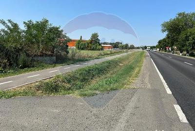 Teren de 20561 mp, în Salonta - 1