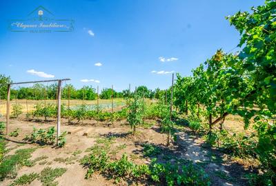 Casa cu 4 camere, centrala proprie si 1440 mp teren, Comuna Felnac, Arad - 17