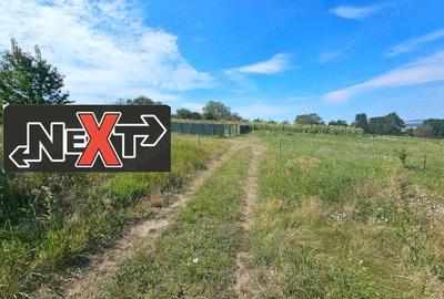 Parcele de teren Comuna Girov Parcele de teren Comuna Girov - 2