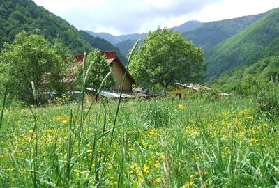 Teren de 1040 mp, în Pantelimon - 4