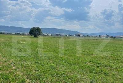 Teren extravilan,5200 mp.Vicovu de Sus - 3