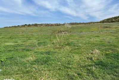 Spațiu comercial, în Betfia - 2