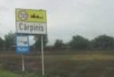 Spațiu comercial, în Cărpiniș - 3