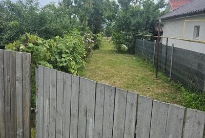 Teren de 455 mp, în Letea Veche - 2