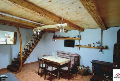 Cabana de Zona Lunca Bradului - 2