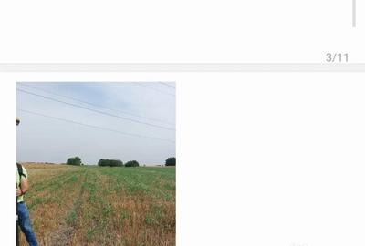 Teren de 4000 mp, în Berceni - 11