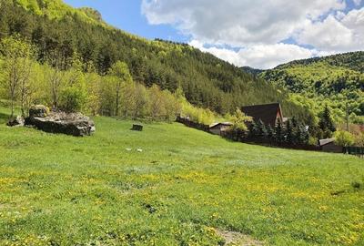 Teren intravilan de 3290 mp, în Lepșa - 6