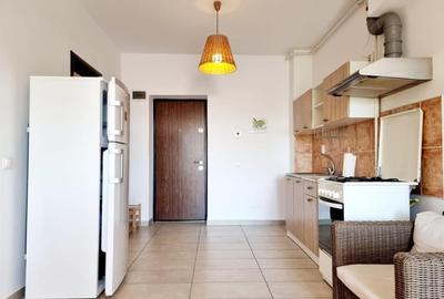 Garsoniera de inchiriat Otopeni Steaua Rosie utilata si mobilata - 5